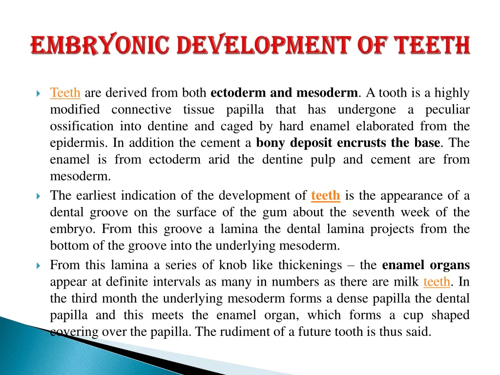 teeth are derived from both ectoderm and mesoderm