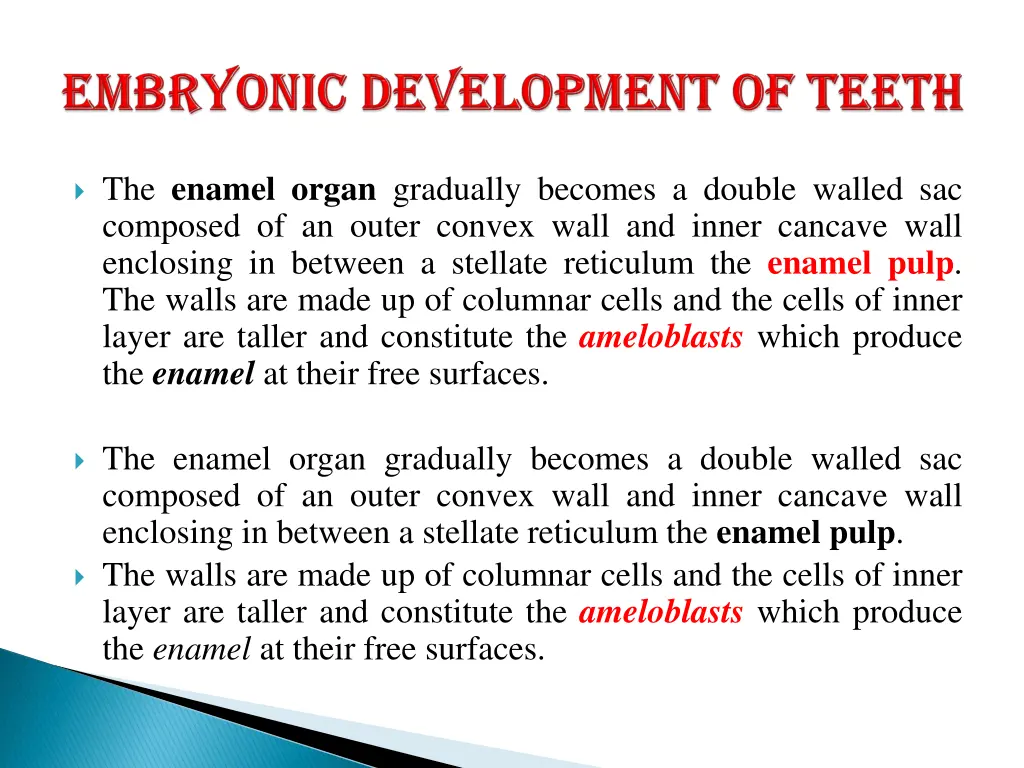 the enamel organ gradually becomes a double