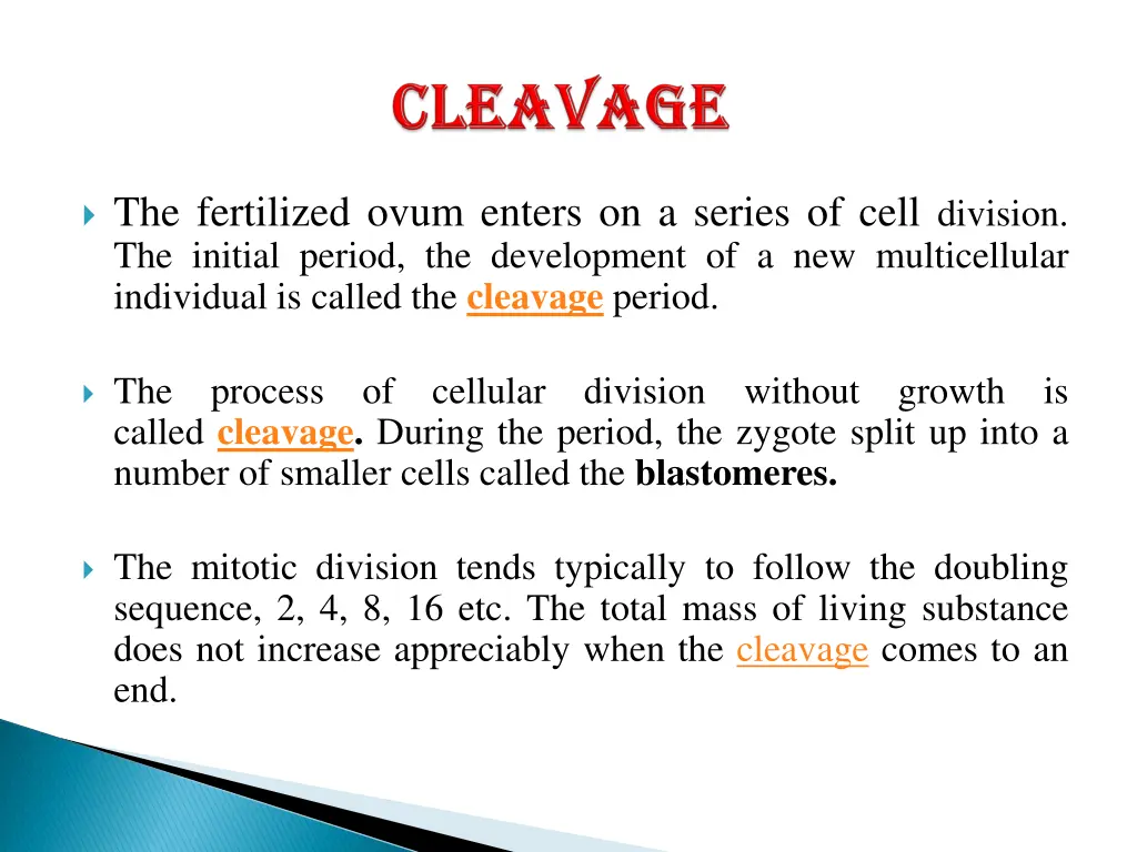 the fertilized ovum enters on a series of cell