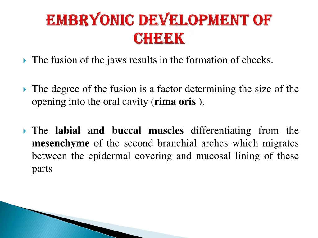 the fusion of the jaws results in the formation