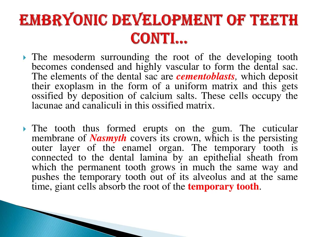 the mesoderm surrounding the root