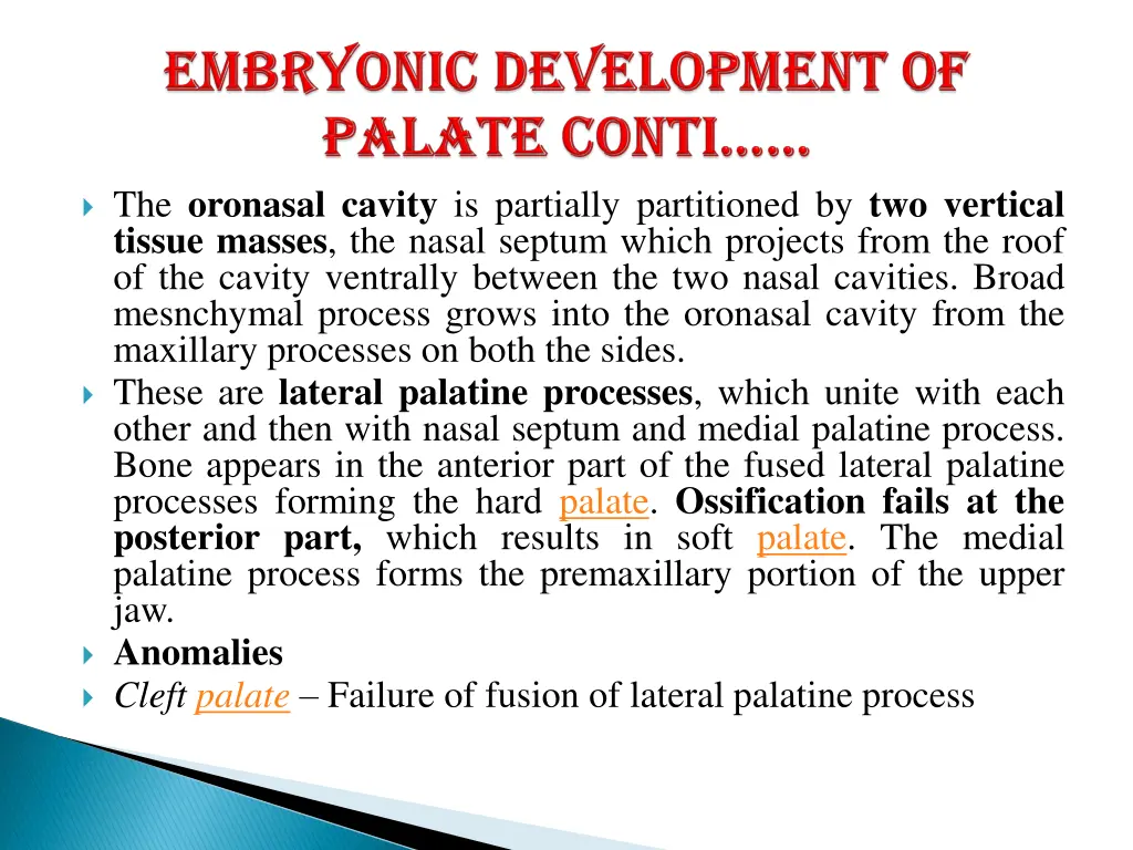 the oronasal cavity is partially partitioned