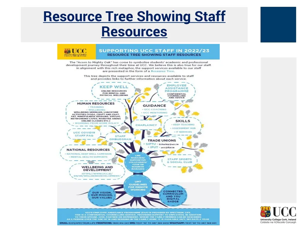 resource tree showing staff resources