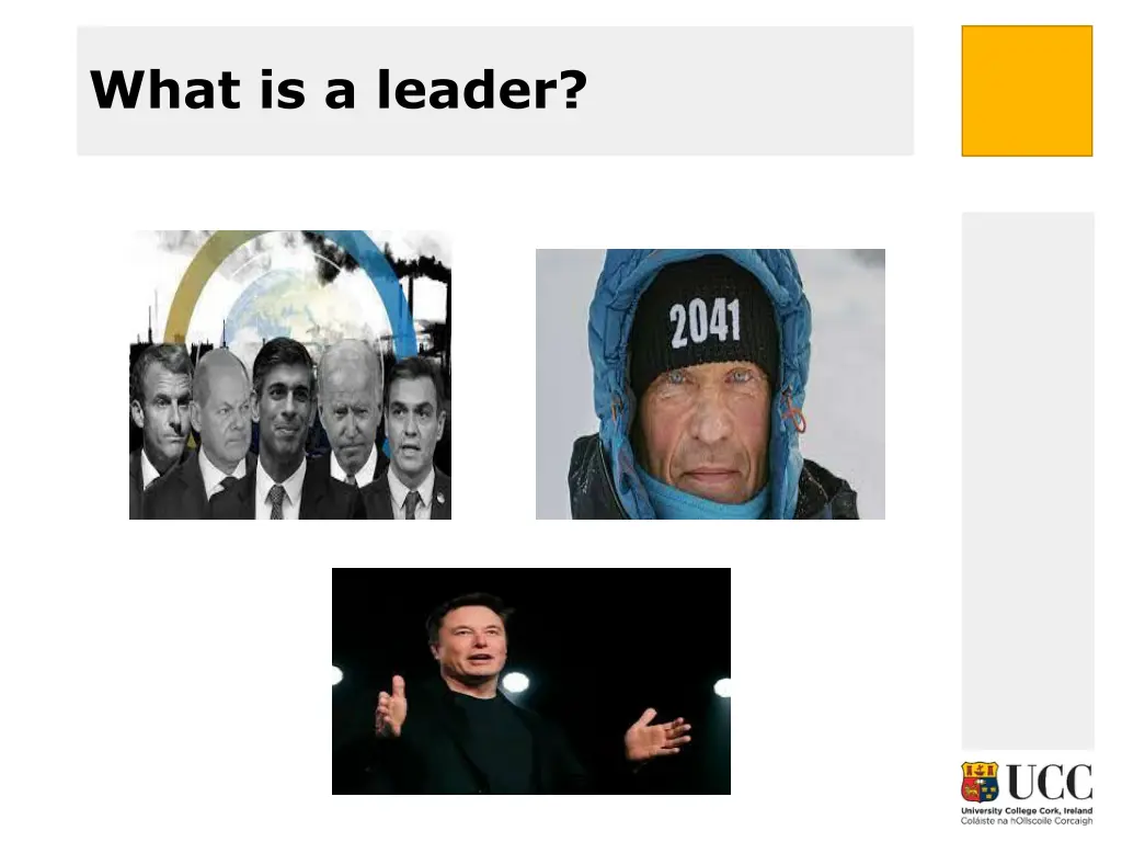 what is a leader