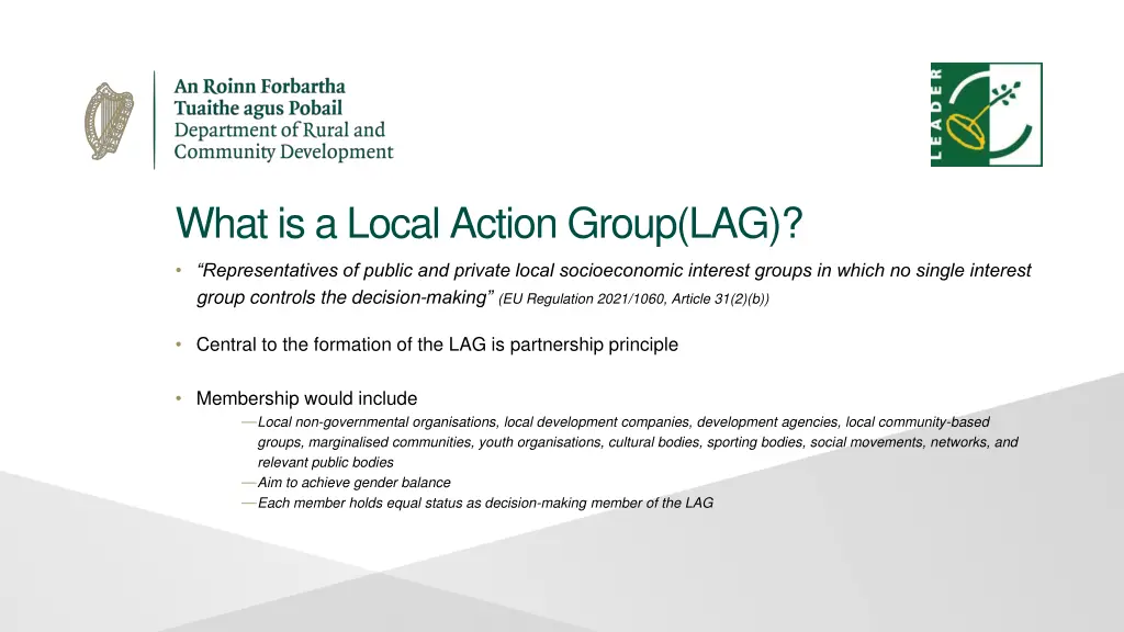 what is a local action group lag