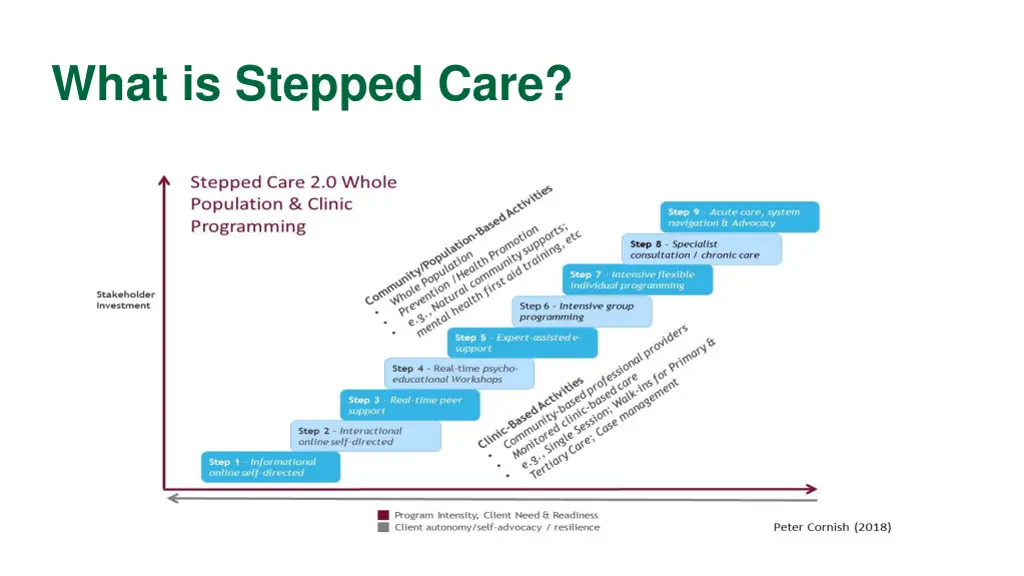 what is stepped care