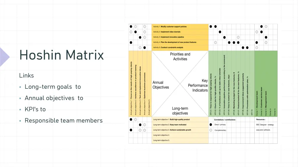 hoshin matrix