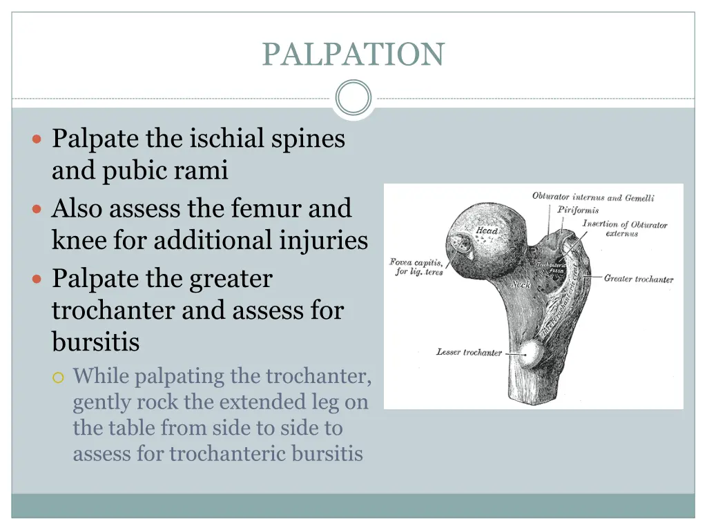 palpation