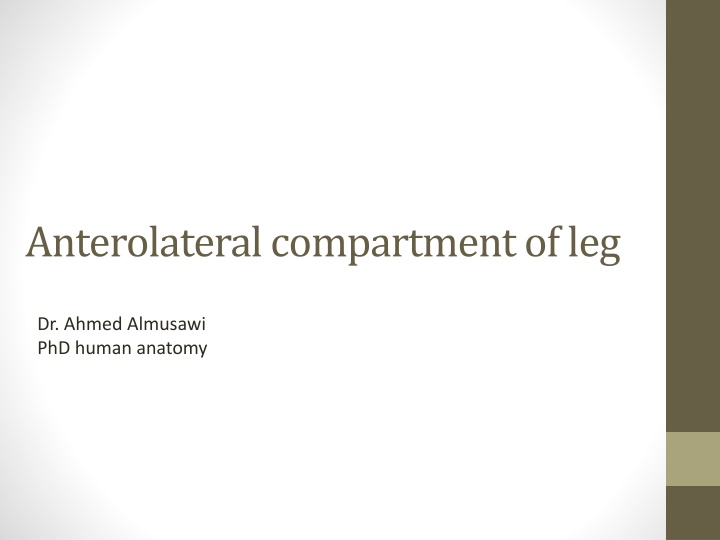 anterolateral compartment of leg