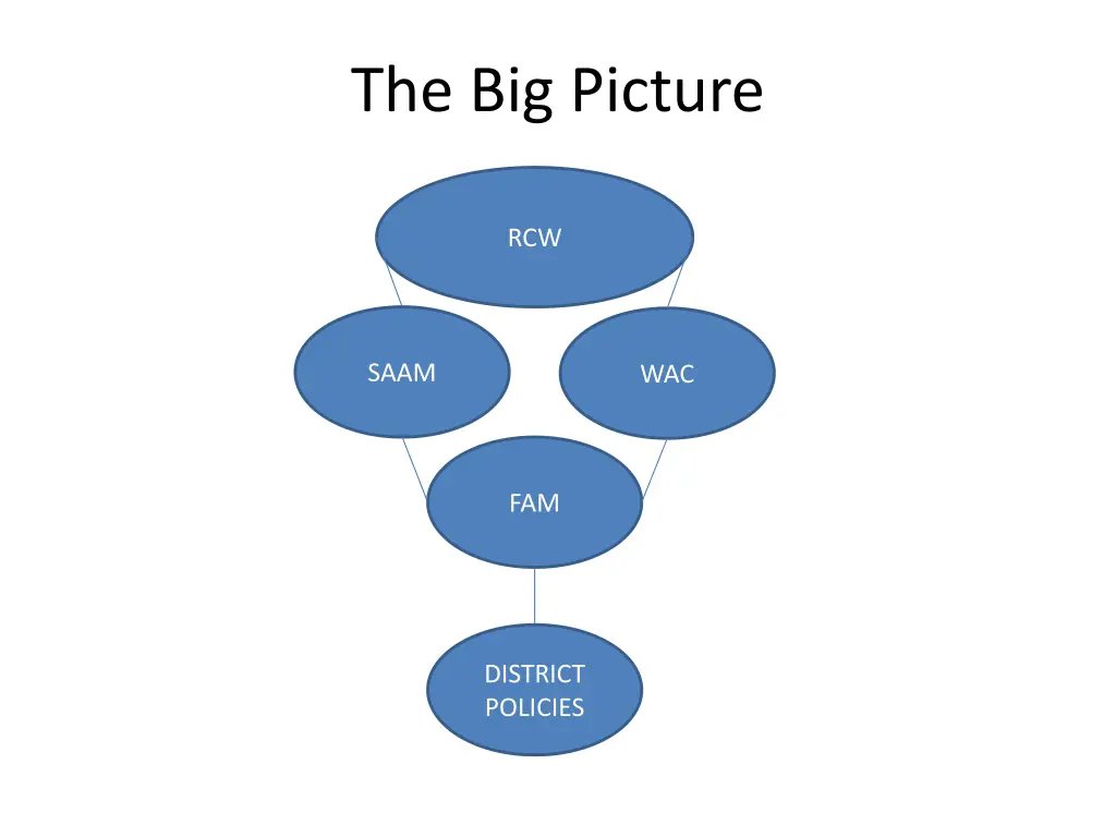 the big picture