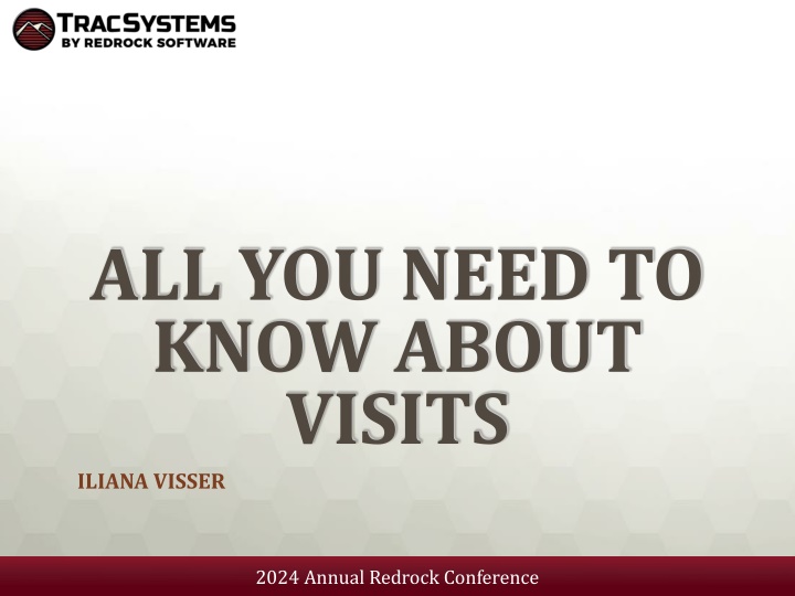 all you need to know about visits iliana visser