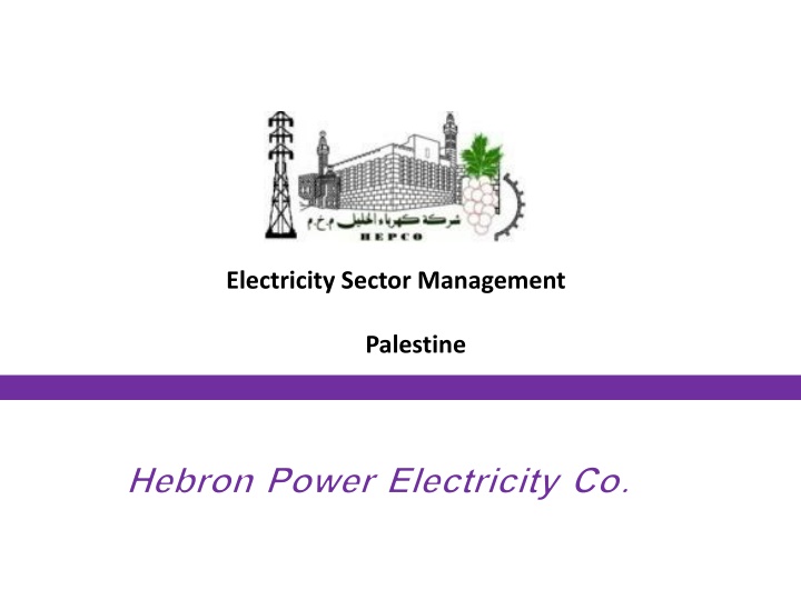 electricity sector management