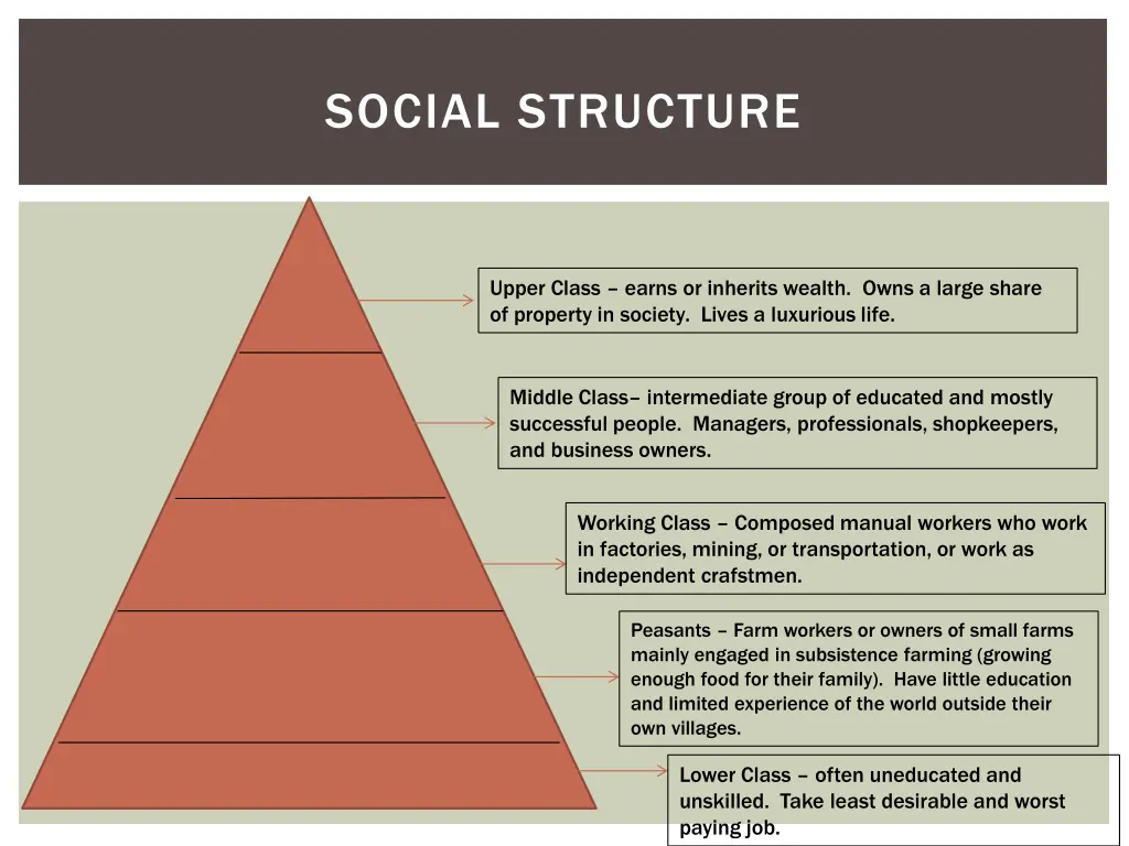 social structure 1