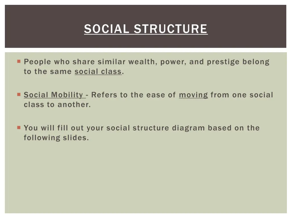 social structure