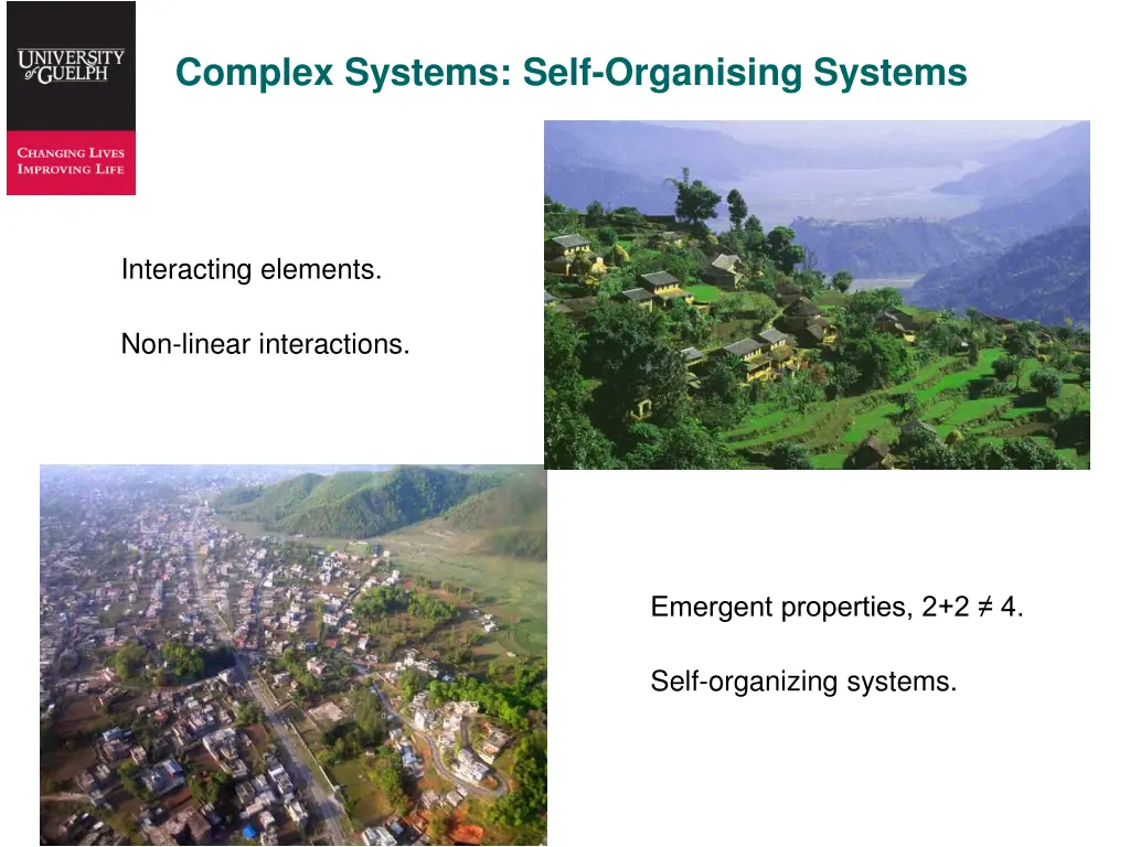 complex systems self organising systems