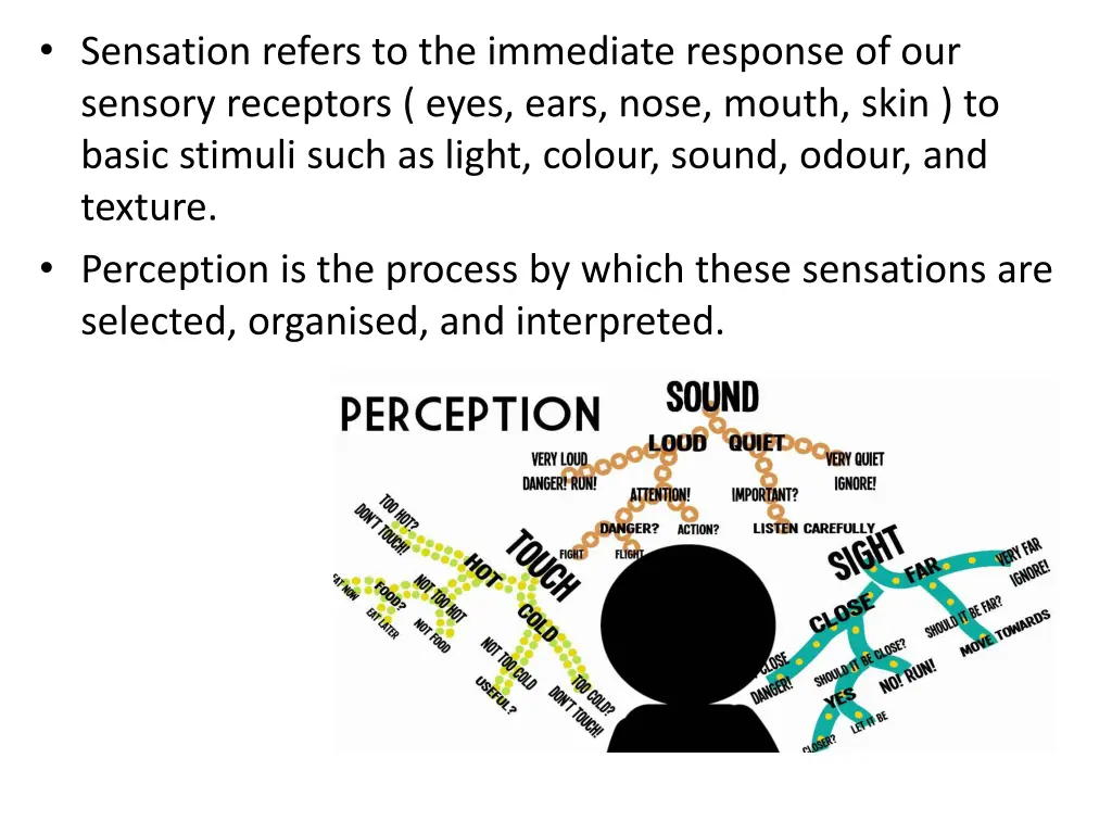 sensation refers to the immediate response