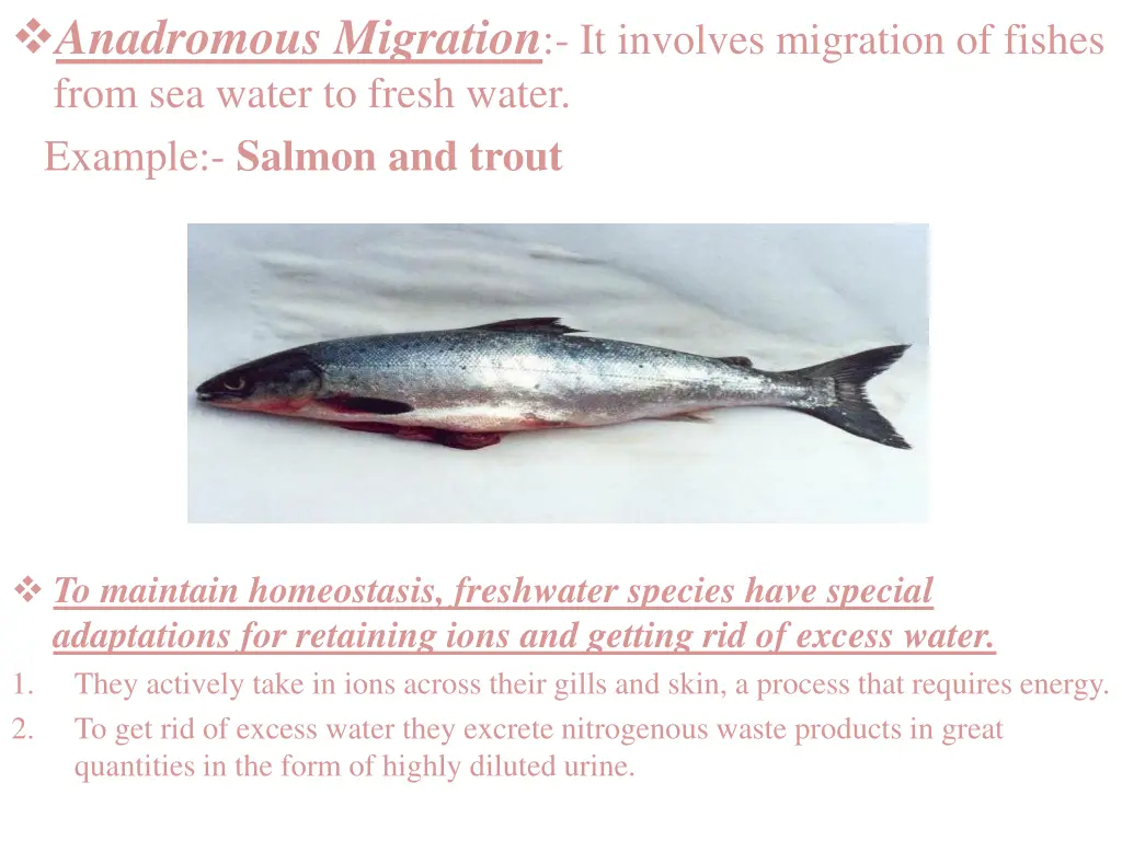 anadromous migration it involves migration