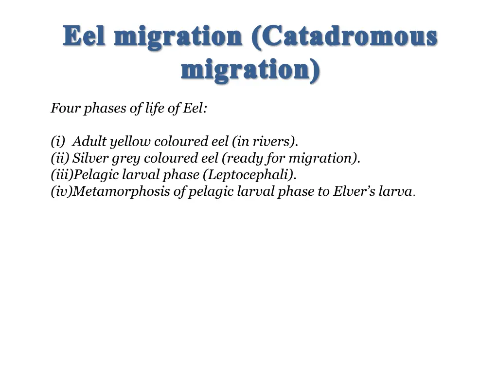 eel migration catadromous migration