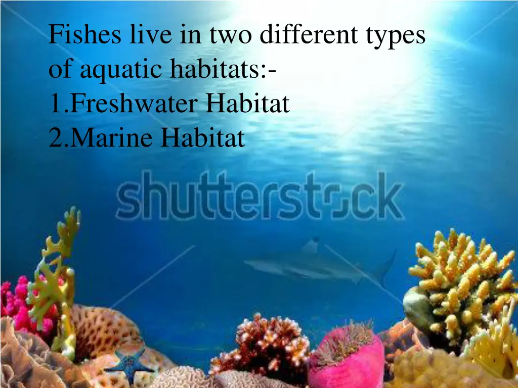 fishes live in two different types of aquatic