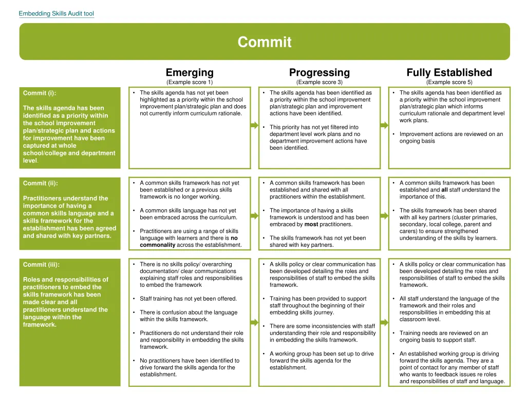 embedding skills audit tool 2