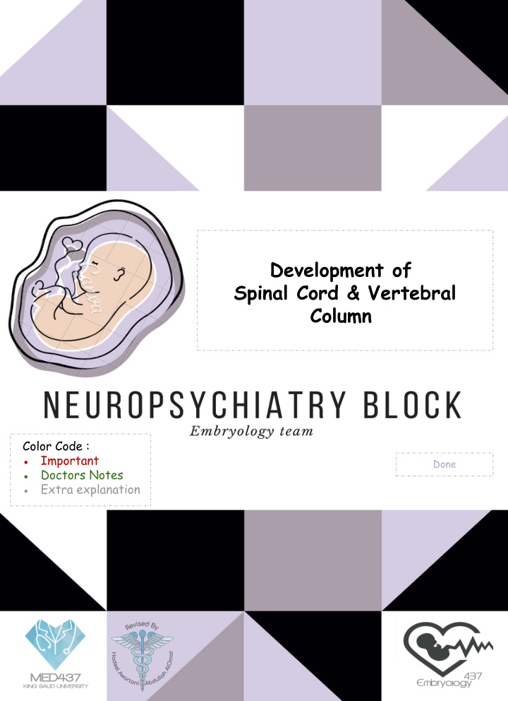 development of spinal cord vertebral column