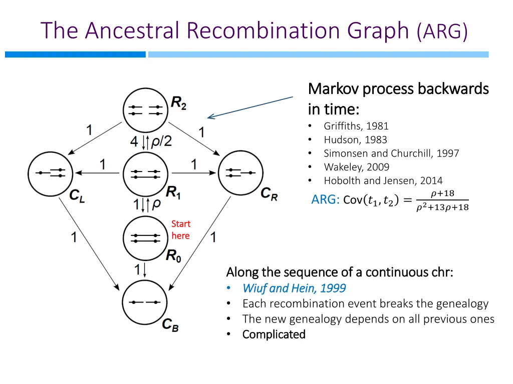 the ancestral recombination graph arg