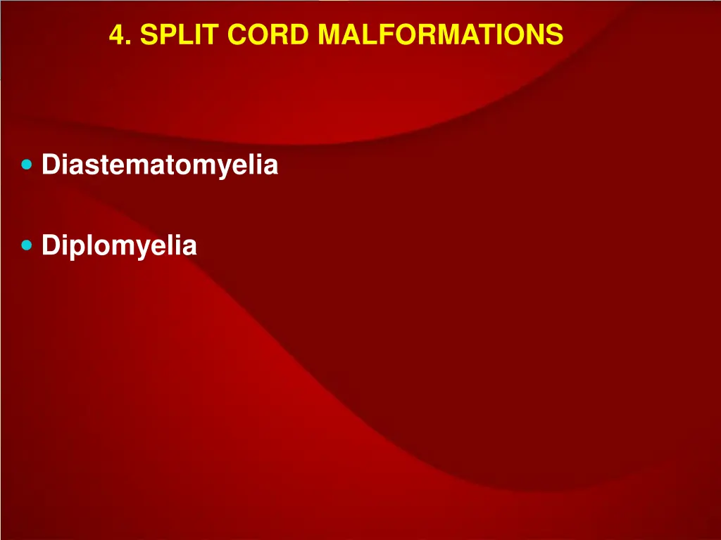 4 split cord malformations