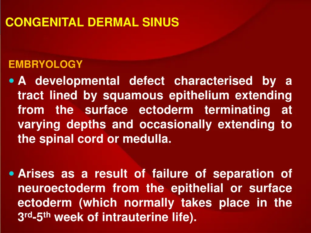 congenital dermal sinus