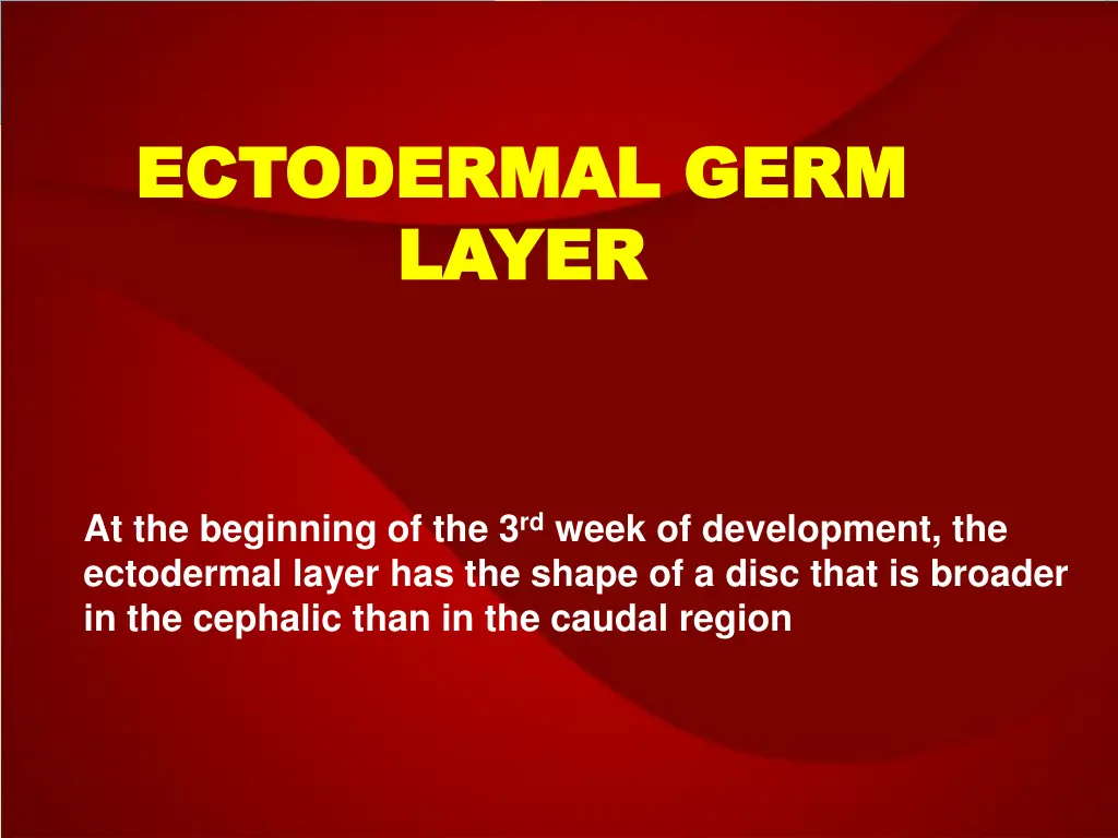 ectodermal germ ectodermal germ layer layer