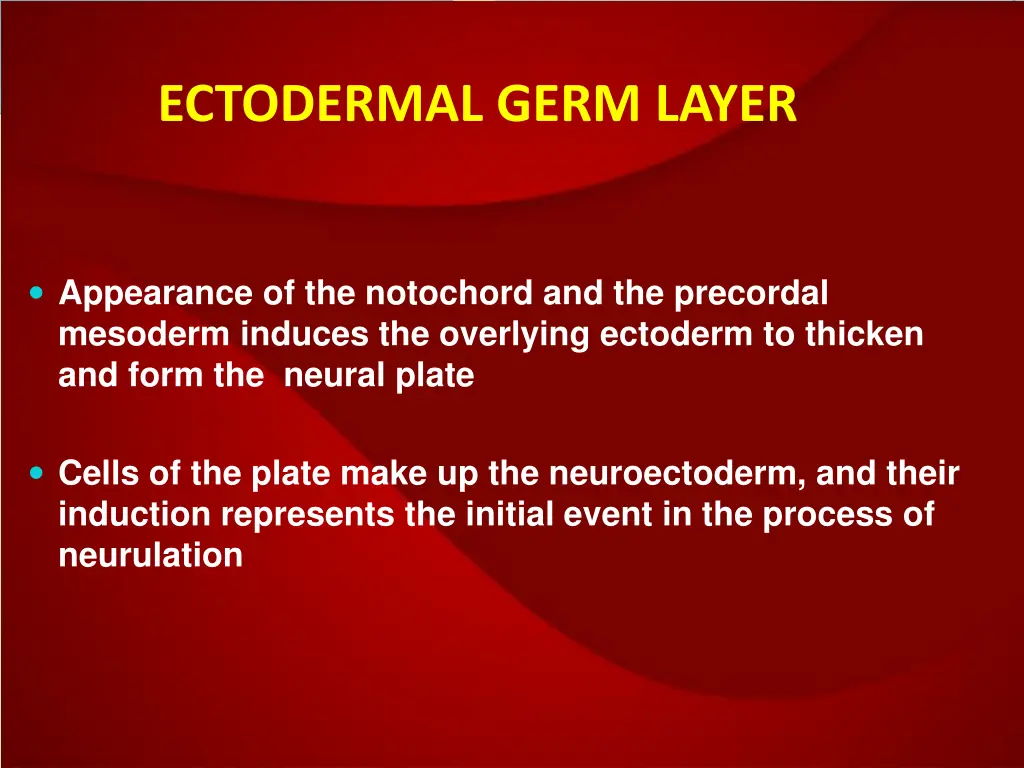 ectodermal germ layer