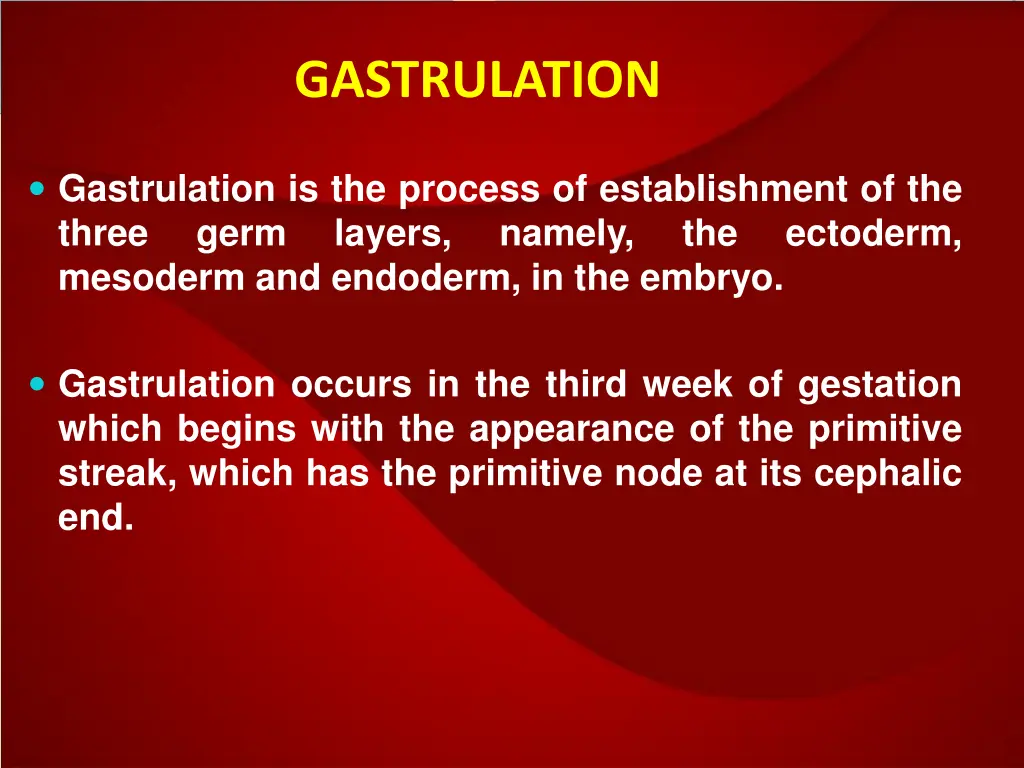 gastrulation