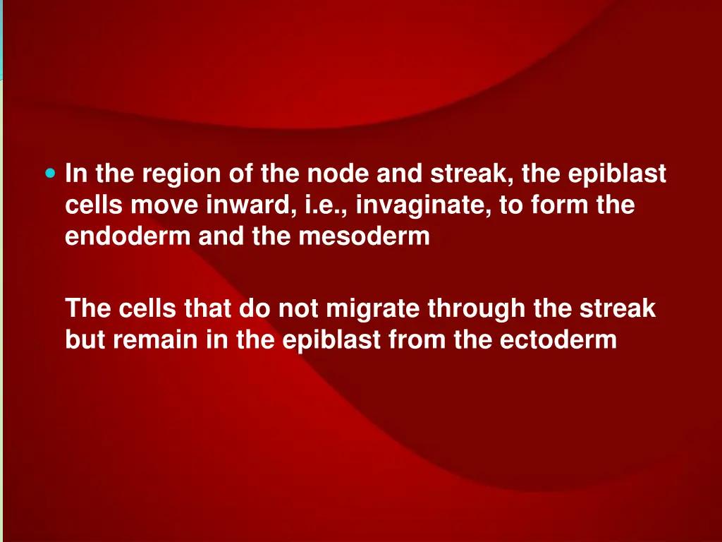 in the region of the node and streak the epiblast