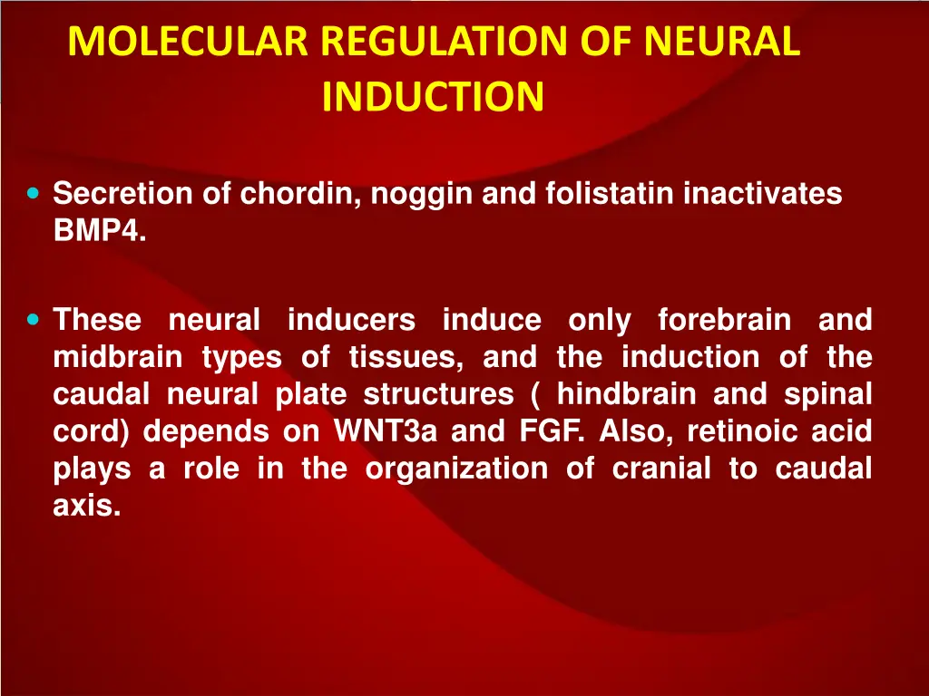 molecular regulation of neural induction 1