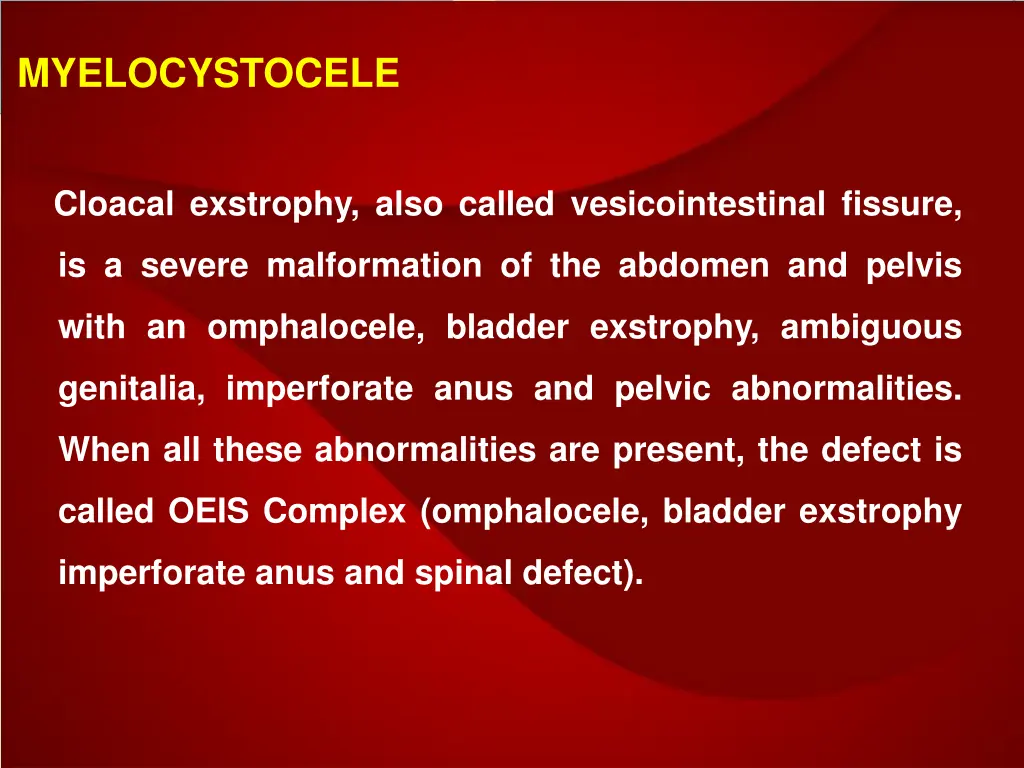 myelocystocele