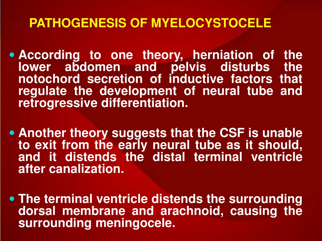 pathogenesis of myelocystocele 1