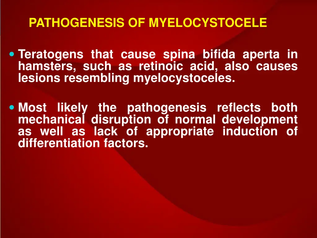 pathogenesis of myelocystocele 2