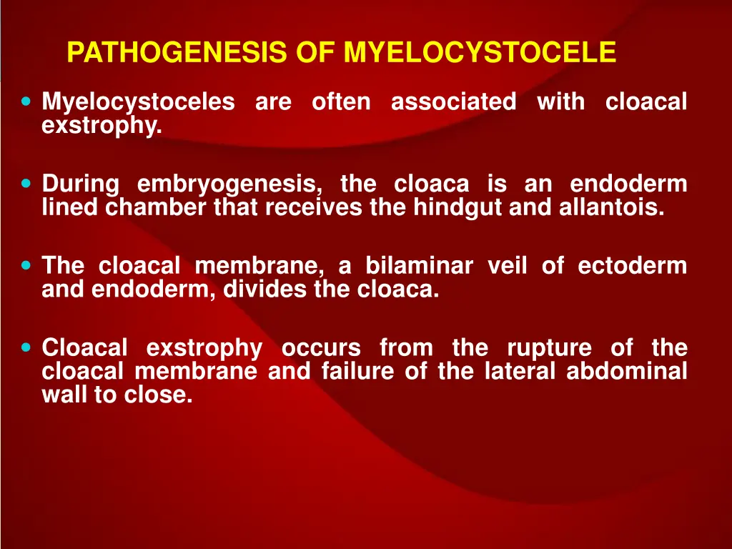 pathogenesis of myelocystocele