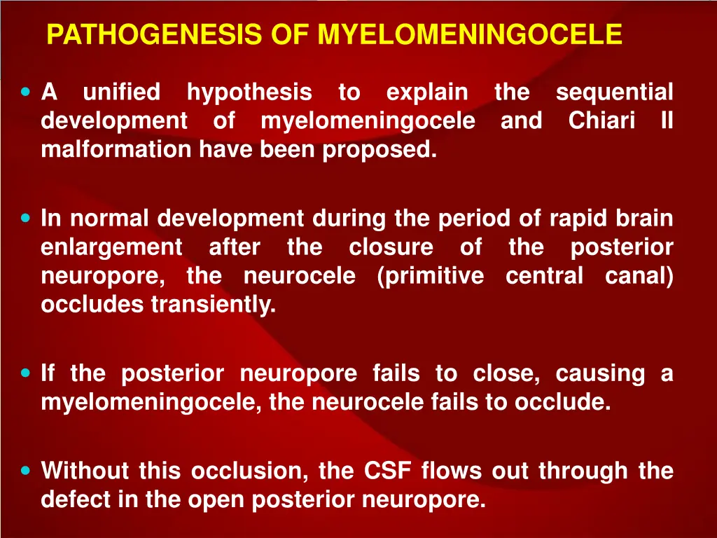 pathogenesis of myelomeningocele 1