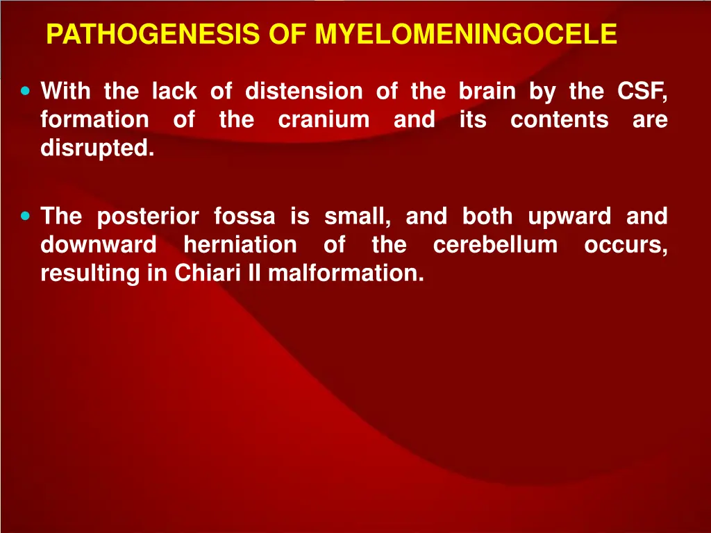 pathogenesis of myelomeningocele 2