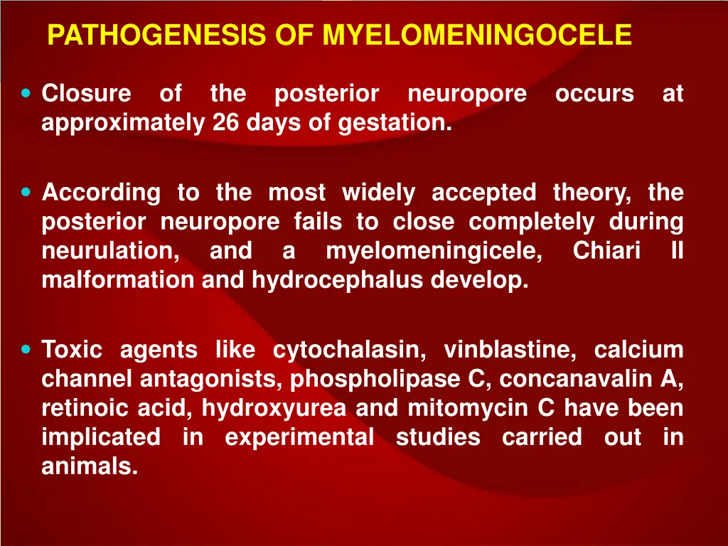 pathogenesis of myelomeningocele