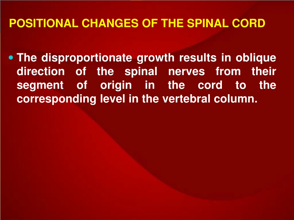 positional changes of the spinal cord 1