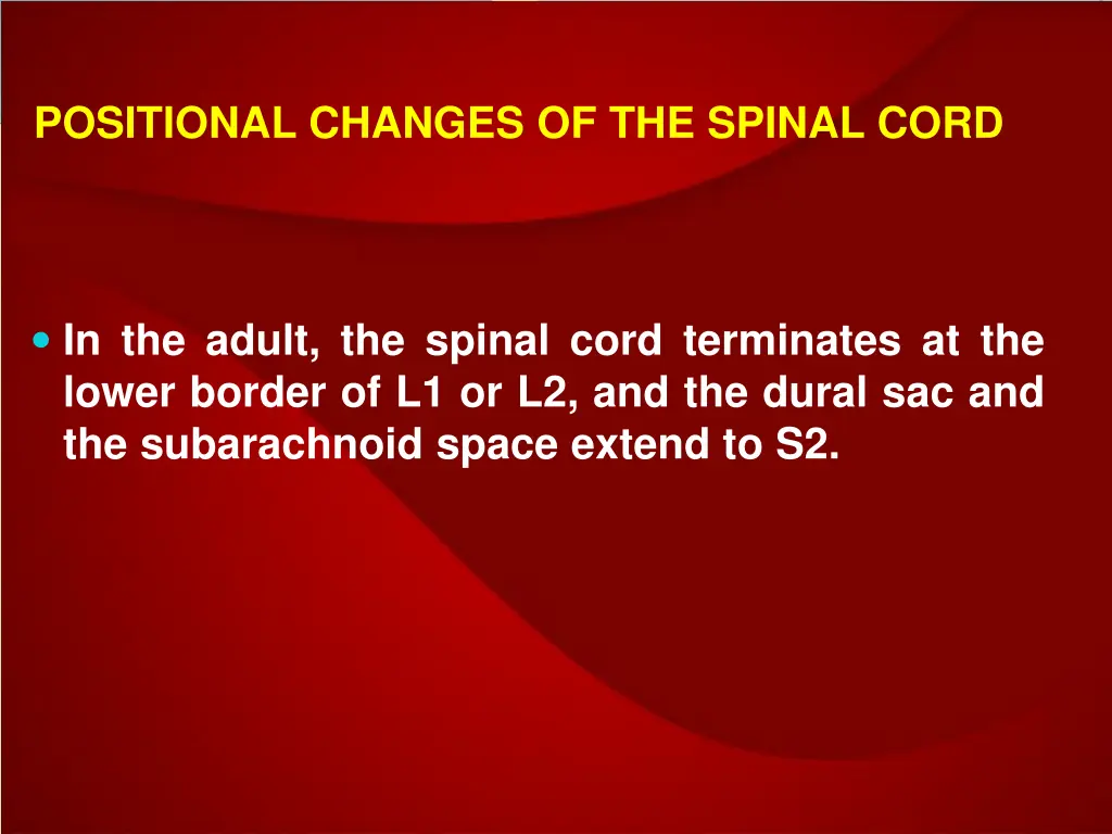 positional changes of the spinal cord 2