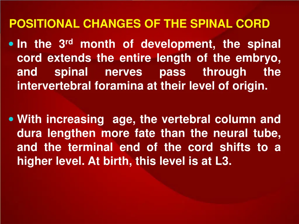 positional changes of the spinal cord