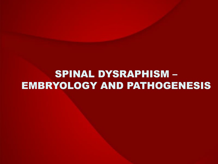 spinal dysraphism embryology and pathogenesis