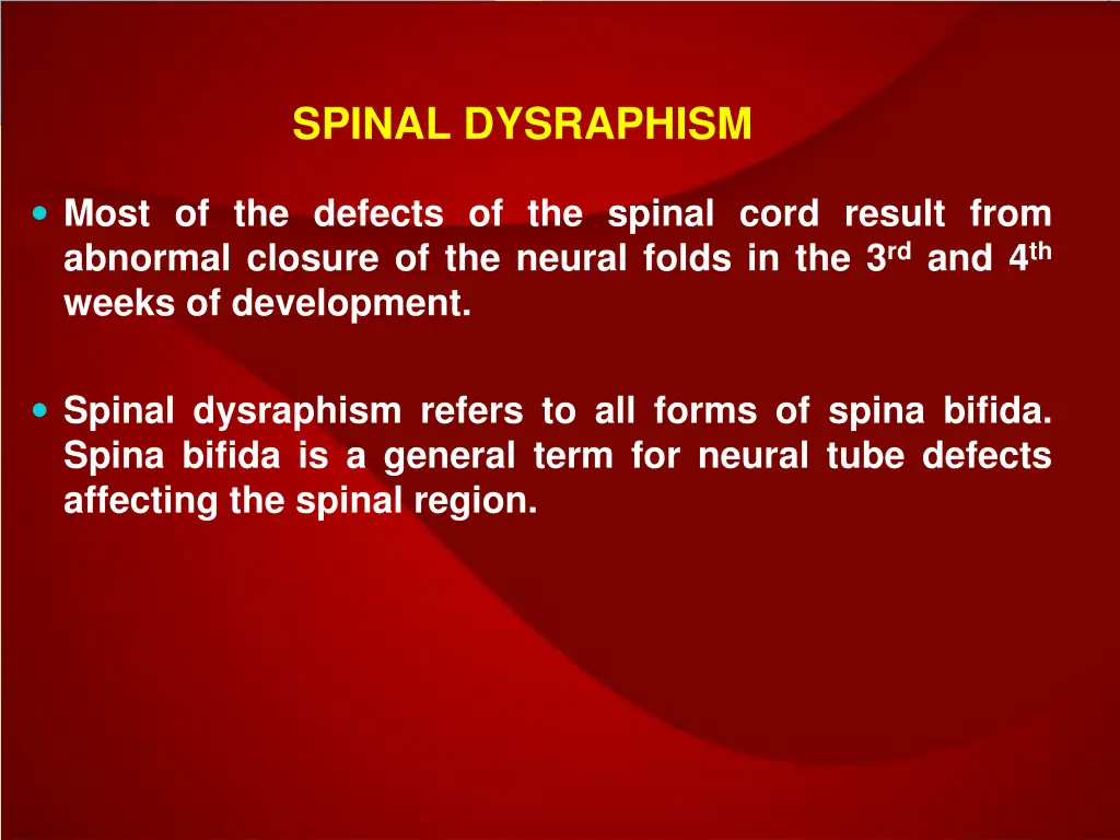 spinal dysraphism