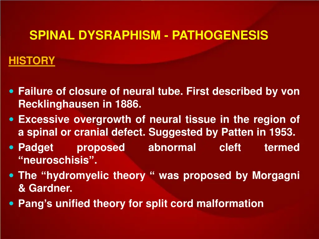 spinal dysraphism pathogenesis