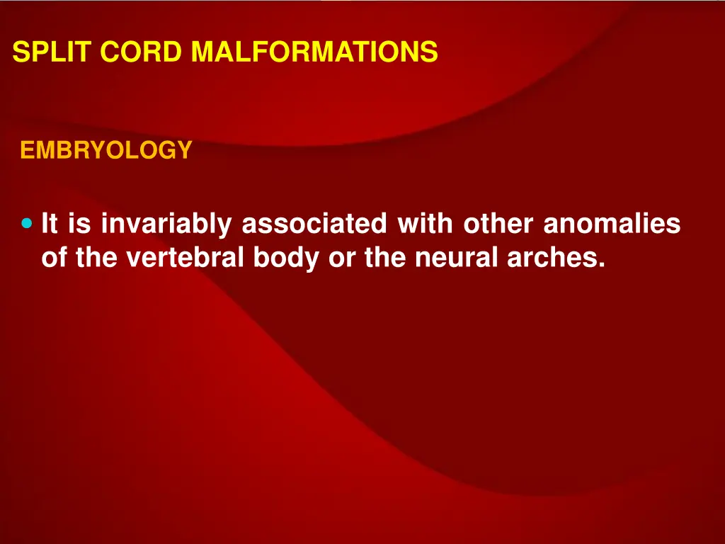 split cord malformations 1