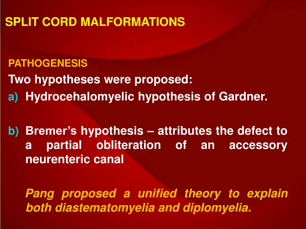 split cord malformations 2