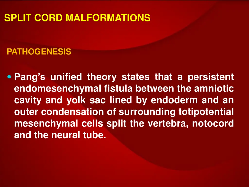 split cord malformations 3