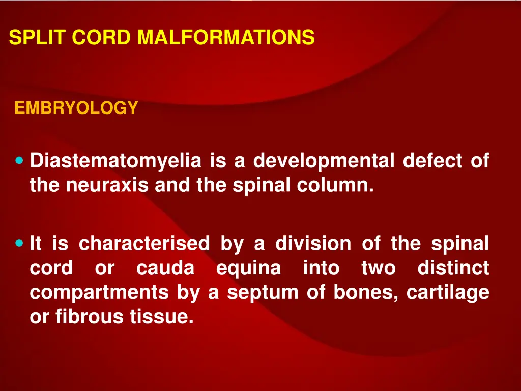 split cord malformations